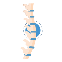 Spine